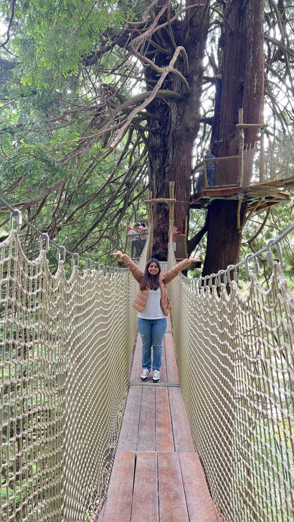 norcal adventures norcal adventures