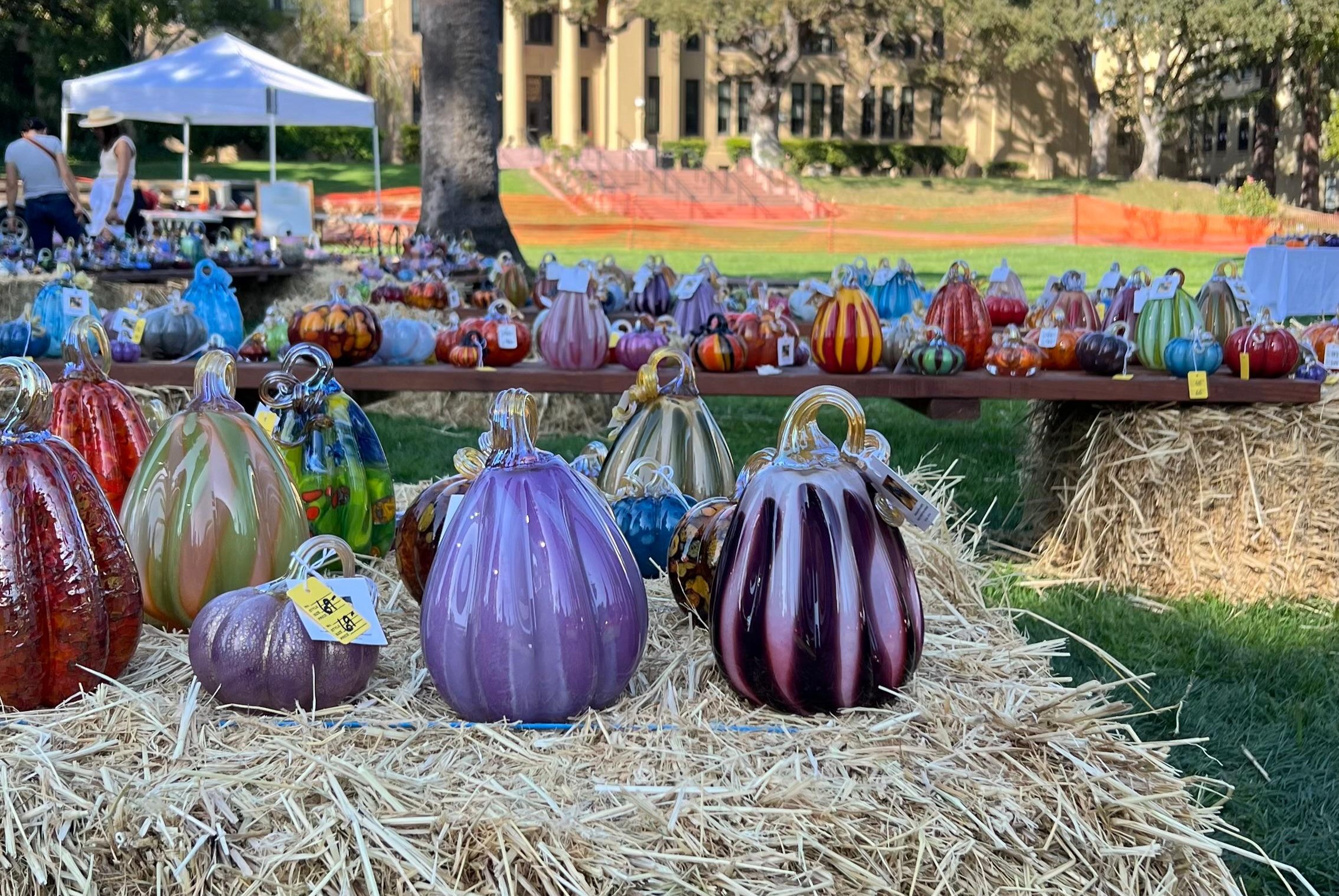 Bay Area fall festivals 2025