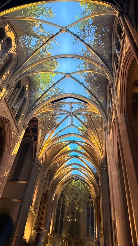 Aura Experience San Francisco