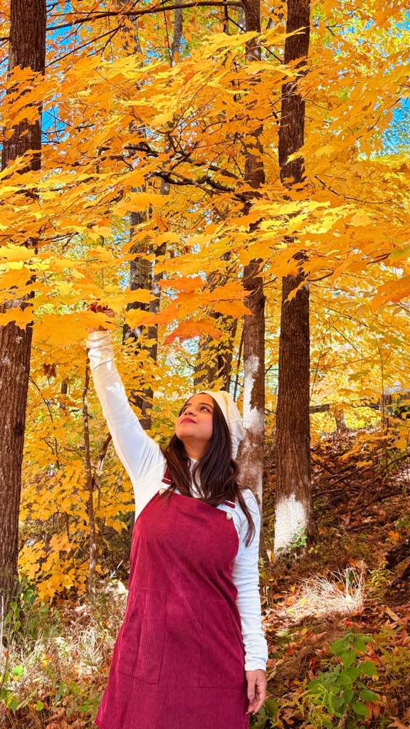 New Hampshire Fall Foliage