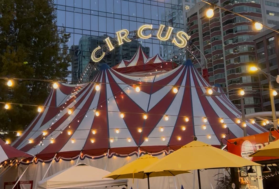 Circus Bella STARLIGHT